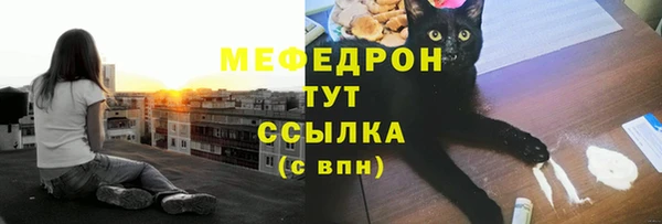 хмурый Абаза