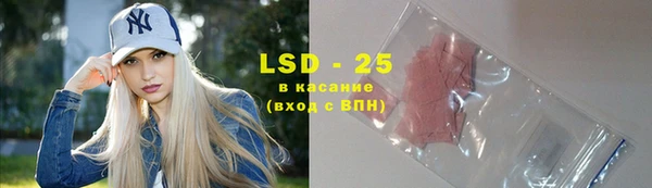 хмурый Абаза