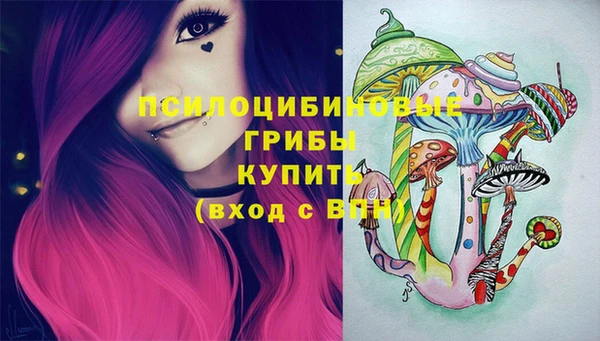 бошки Абинск