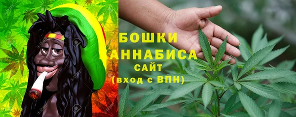 хмурый Абаза
