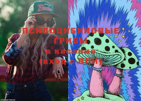 хмурый Абаза