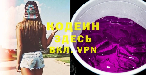 хмурый Абаза