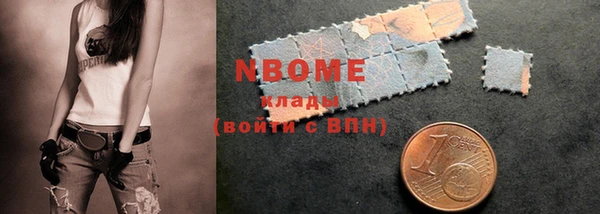 хмурый Абаза